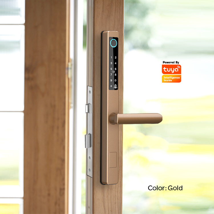 WIFI Tuya APP Waterproof Outdoor Digital Biometric Smart Fingerprint Aluminum Sliding Door Lock