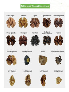 Wholesale Natural Organic First Grade White Walnuts in <strong>Shell</strong> Bulk Raw Walnut Nuts &amp; <strong>Kernels</strong> Color Sorter <strong>Sorting</strong> <strong>Machine</strong> - Product Image 6