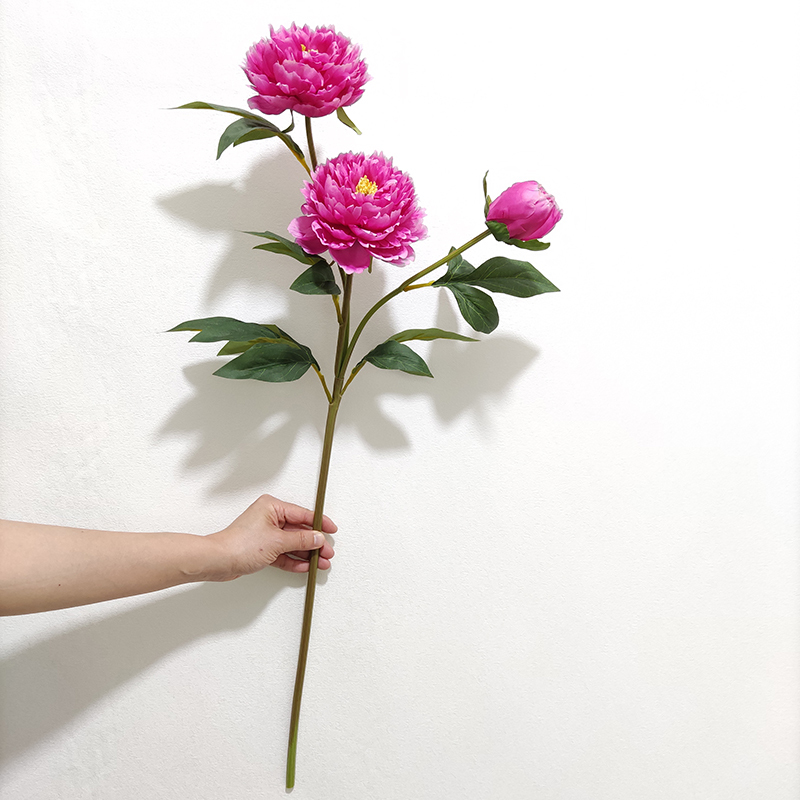 rose vif