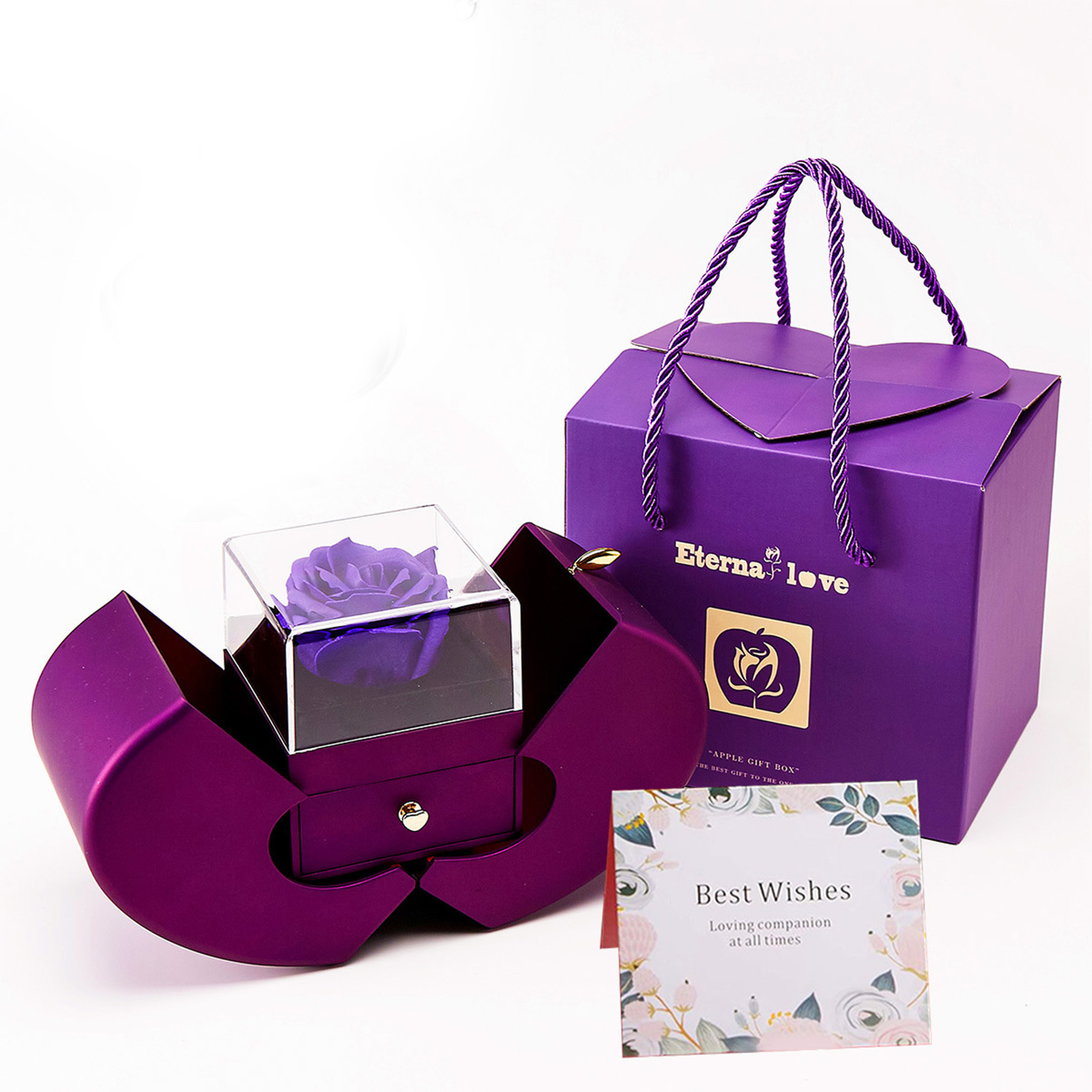 Pourpre