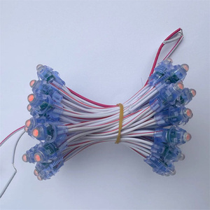 12V Smart <strong>LED</strong> Light <strong>String</strong> WS2811 USC2904 Point Pixels Modules Bullet 12mm Digital <strong>Programmable</strong> RGBIC RGB <strong>LED</strong> <strong>String</strong> Lights - Product Image 5
