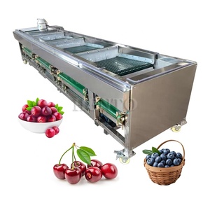 Máquina clasificadora de verduras de alta productividad para clasificación y clasificación de frutas de cacahuetes y arándanos - Product Image 5