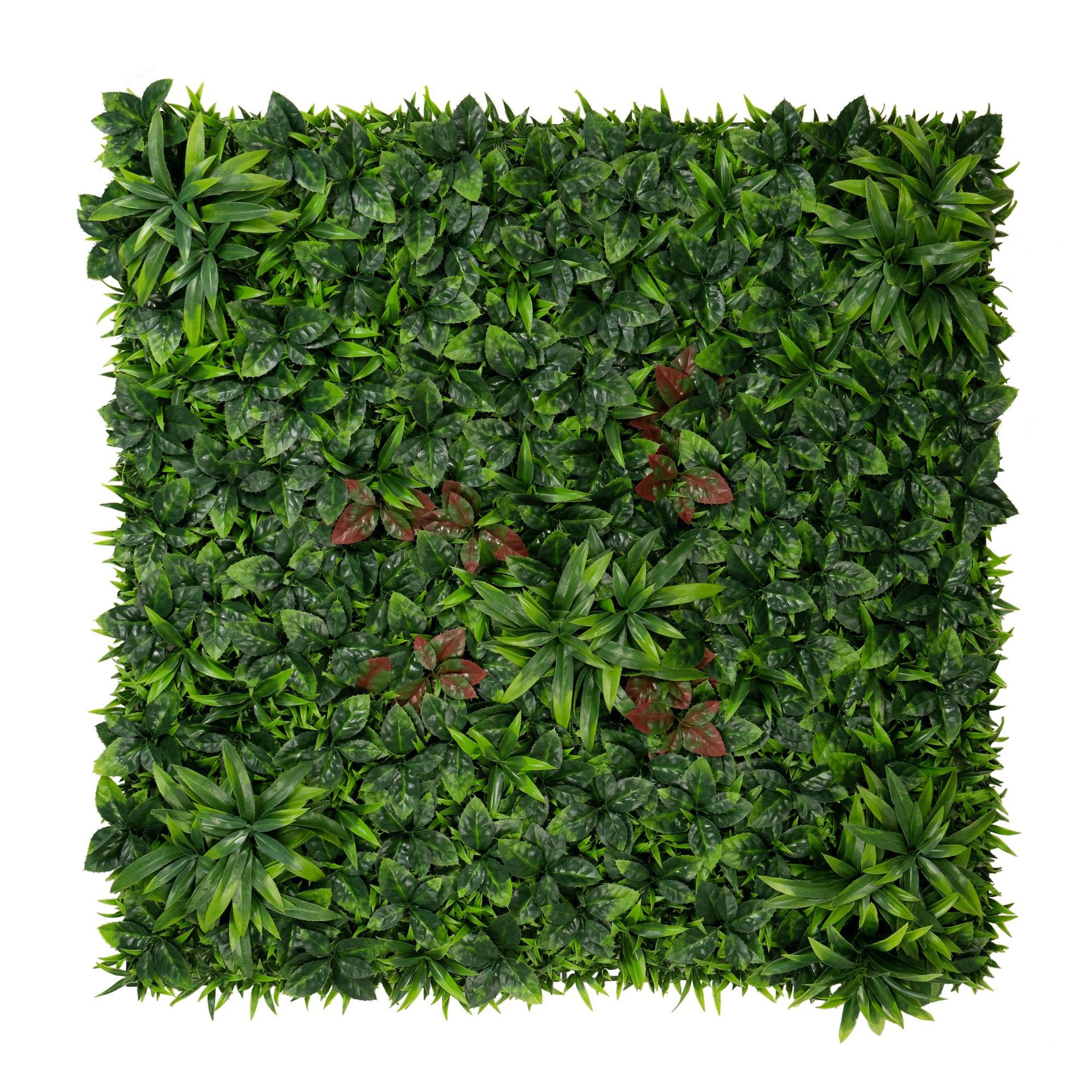 Une centaine d'herbes prospèrent.