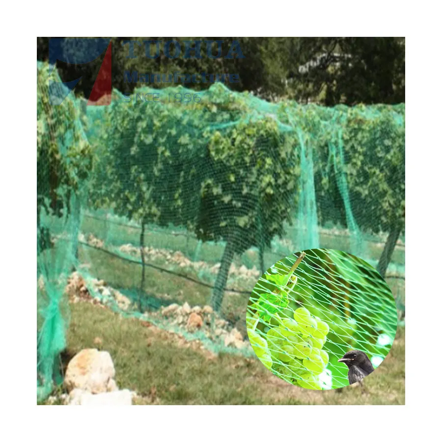 Economical cheap price Diamond bird protection net Agricultural Anti bird net for vineyard