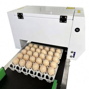 Expiration Date New Condition Retail Printing Shops High Quality Automatic Tij Printer Egg Inkjet Machine for Continuous <strong>Coding</strong> - Product Image 4