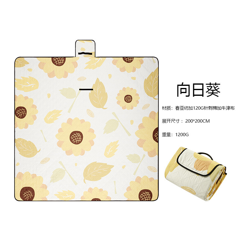 Silver-plated thickened ultrasonic briefcase