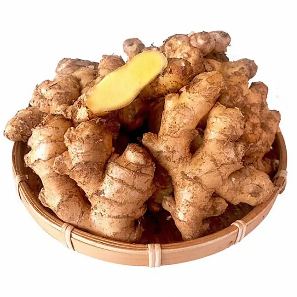 newest crop fresh ginger indonesian fresh ginger