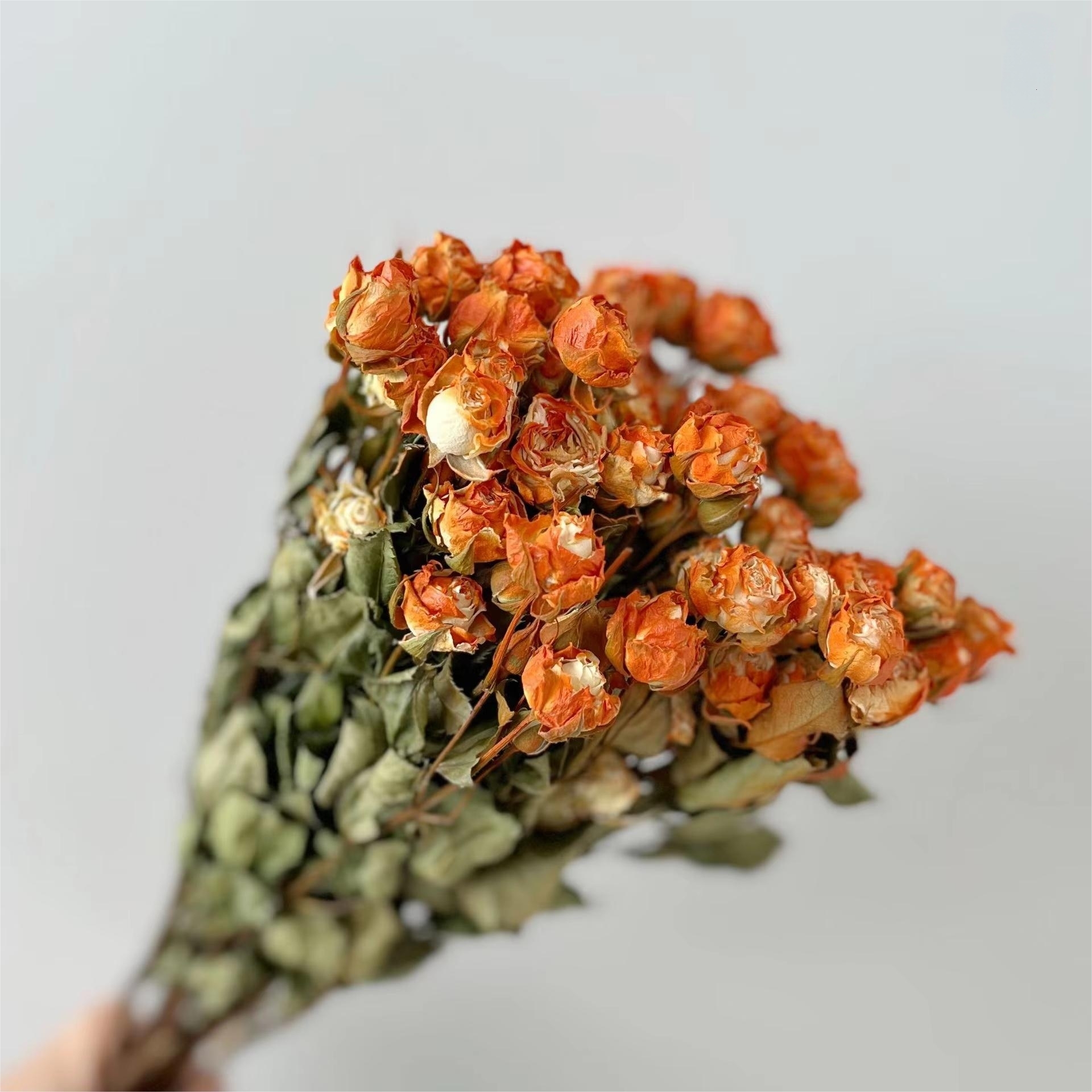 Multi-tête orange-10 capitules-15cm