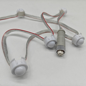 2cm DMX512 <span class=keywords><strong>LED</strong></span> <span class=keywords><strong>Pixel</strong></span> đèn tại chỗ Trắng Đỏ Xanh chuyên dụng thẻ lỗ PC cơ thể IP67 DC 12V Bảo hành 2 năm chiếu sáng cảnh quan - Product Image 4