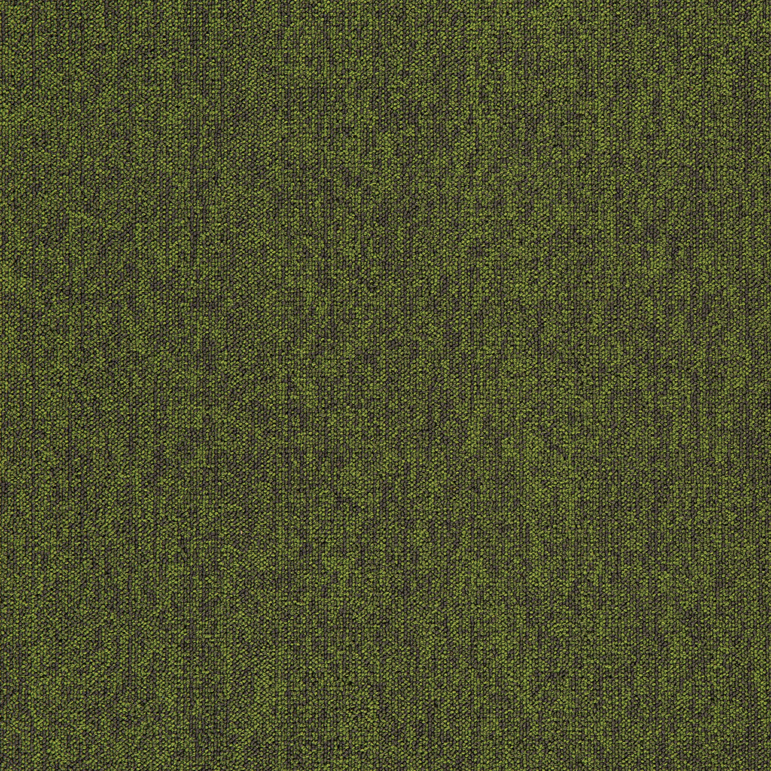 Army Green10