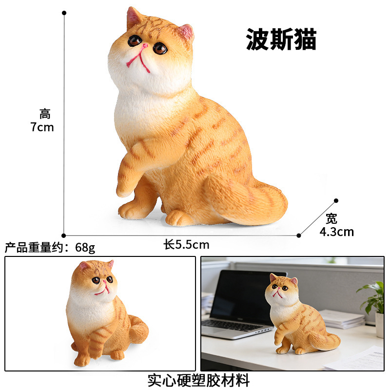chat persan jaune coloré 3133