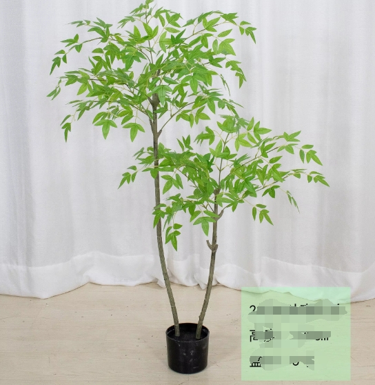 Nandina verde 120-210cm