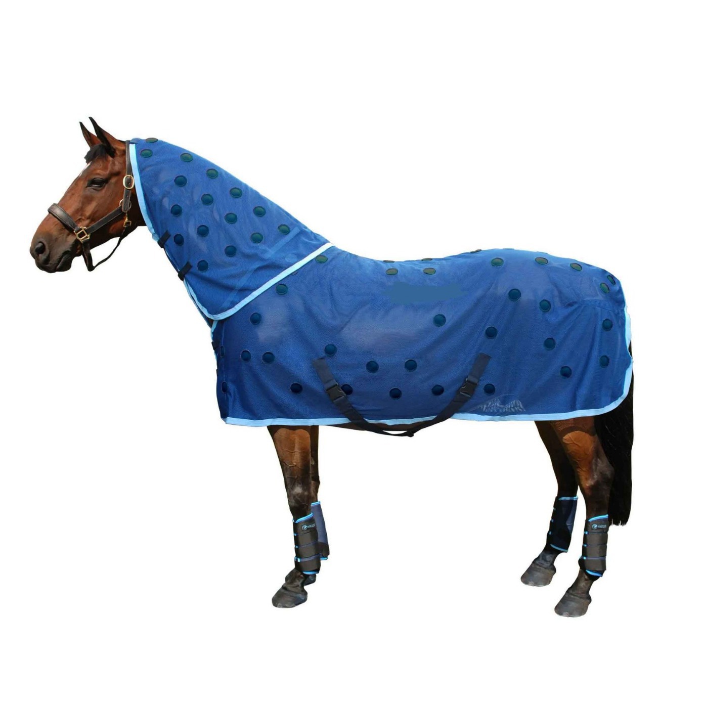 Blue 2