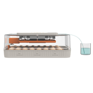 WONEGG 56H AC DC Incubadora de huevos de pollo fertilizado tres en uno Pantalla de control de humedad de temperatura automática Función de iluminación LED - Product Image 6