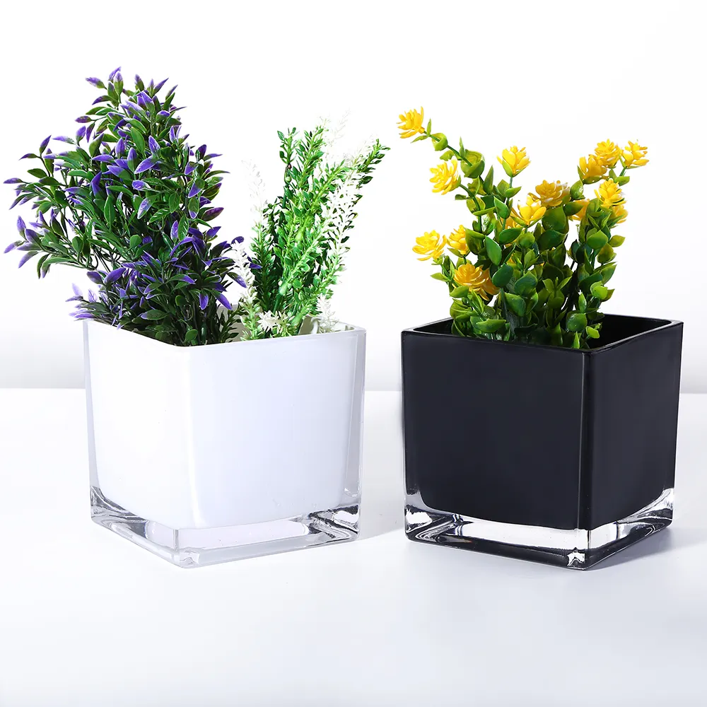 Florero cuadrado de vidrio blanco y negro para plantas al por mayor