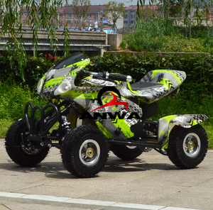 זול מיני גז 49cc שני שבץ טרקטורונים לילדים 4 גלגל 49cc <span class=keywords><strong>quad</strong></span> אופני עם אישור CE