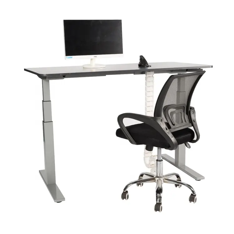 Elektrikli çift motorlu bilgisayar masası yüksekliği ayarlanabilir oturmak standı ofis masaları