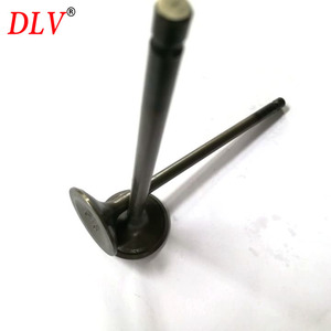 476Q motor giriş çıkış valfi 476Q-1007001 476Q-1007002 için kullanılan BYD <span class=keywords><strong>F3</strong></span> model motor