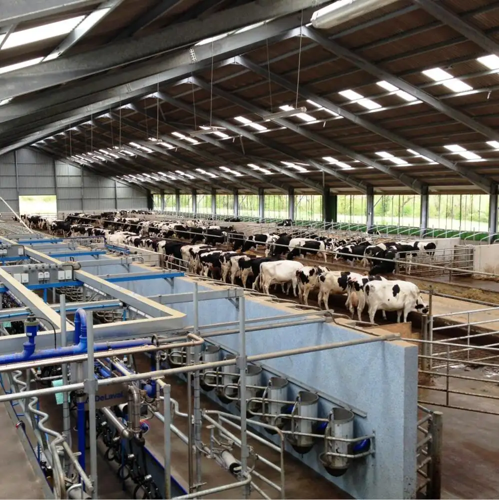 Düşük maliyetli hayvancılık panelleri keçi çiftlik evi süt çiftliği döken sıcak satış