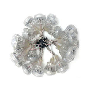 Pixel led-modul 18leds/pcs 24V Addressable digitale programmierung fahrzeug lichter 60mm amusement pixel lampe - Product Image 1