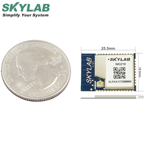 Gran oferta módulo Wifi Esp8266 transmisor receptor Placa de desarrollo Iot interruptor inteligente módulo Wifi