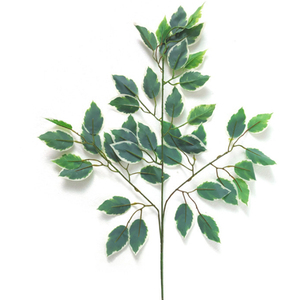 Natural Real Touch Artificial Banyan <strong>Tree</strong> Leaves for Home Decoration - Product Image 3