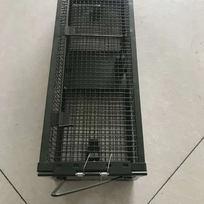 Direct usine prix chien piège cages