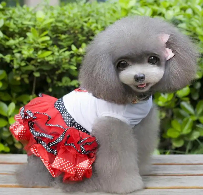 Vestido de lujo para perro, Princesa, encantador, ropa, falda para mascotas