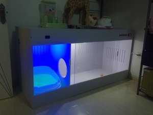 2019 yeni çeşitli boyut Pet ICU/ Pet inkübatör memeliler gibi kedi, köpek MSLDW03