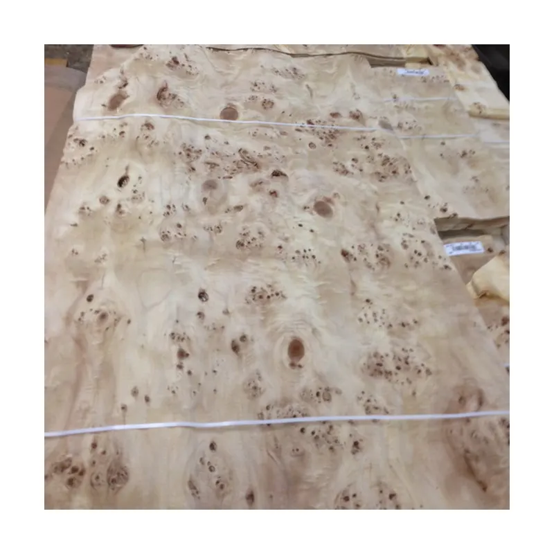 Natural wood veneer mappa burl veneer for decorative