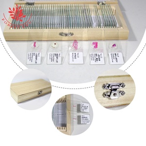 Microscópio Humano Preparado <span class=keywords><strong>Slides</strong></span> 50 Tipos Hematoxilina Esosin Mancha Ensino Recurso Capa Redonda Deslizada Histologia <span class=keywords><strong>Slides</strong></span>