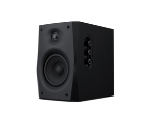 HiVi Hi-Fi 2.0 מולטימדיה פעיל מערכת קול מערכת D1010-IVB סין סיטונאי