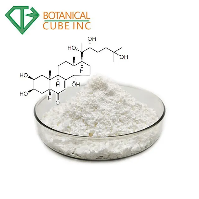B.C.I供給高純度98% エクシステロン粉末化粧品原料デューグラスシアノチスアラクノアイデエキスベータエクシステロン