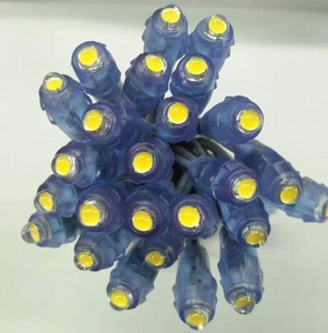 防水ip67 9ミリメートルのledピクセルライト文字列dc12v 5用信号ロゴ - Product Image 2