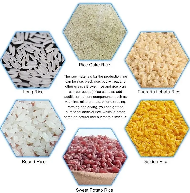Künstliche Ernährung Reis herstellungs maschine Kapazität 500 kg/h angereicherte Reis anlage/Maschinen/Hersteller