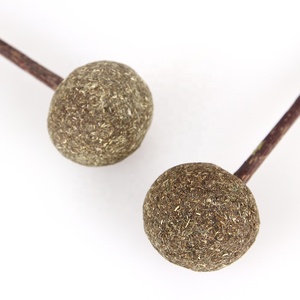 CAT Chew Matatabi Stick Toy Ecológico Linda FORMA DE piruleta Catnip para limpieza molar Silvervine Catnip Toy para gatos - Product Image 2