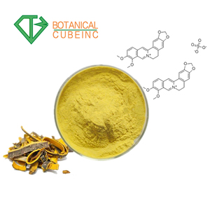 Beste <span class=keywords><strong>Cortex</strong></span> <span class=keywords><strong>Phellodendri</strong></span> Extract berberin HCL 98%/Coptis Wurzelextrakt 10:1 berberin hydrochlorid powder - Product Image 1