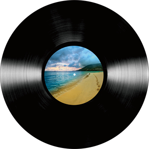 ブラックビニールレコード製造 - Product Image 2