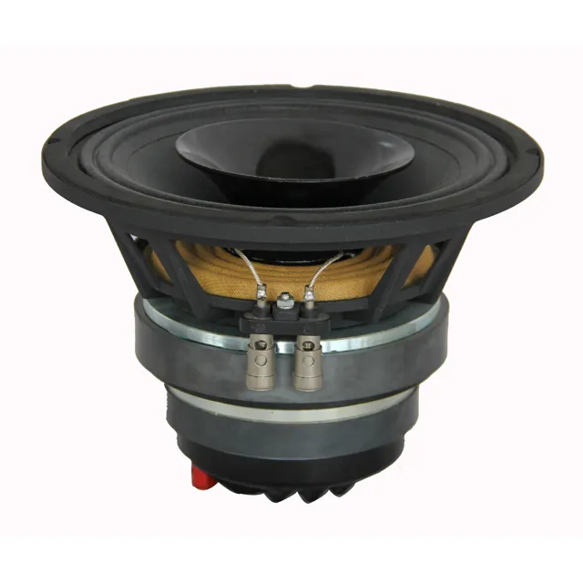 Altoparlanti a 8 pollici di midrange 100W RMS pro audio altoparlanti