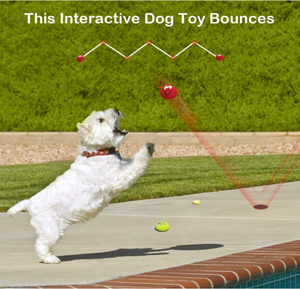 Son doğal yumuşak kauçuk lateks chewy dayanıklı <span class=keywords><strong>zanies</strong></span> gülen top gıcırtılı evcil köpek oyuncak - Product Image 5