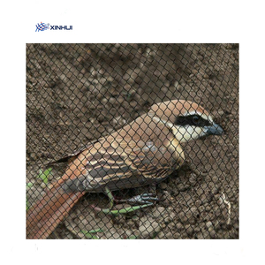 鳥を捕まえるための最新デザイン低価格ホット販売卸売良質鳥ネット