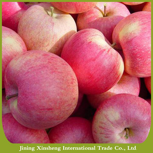 Fresh Qinguan <strong>apple</strong> China Qinguan <strong>apple</strong> - Product Image 5