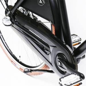 TXED 3 Gear Alloy 28&quot; Electric 250W Motor Cargo Bike Retro Classic City E Bike E Cargo Bike - Product Image 6