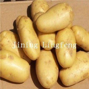 Buy <strong>Potatoes</strong> Fresh 2022 New Hot Sale / Pakistan <strong>Potato</strong> Prices