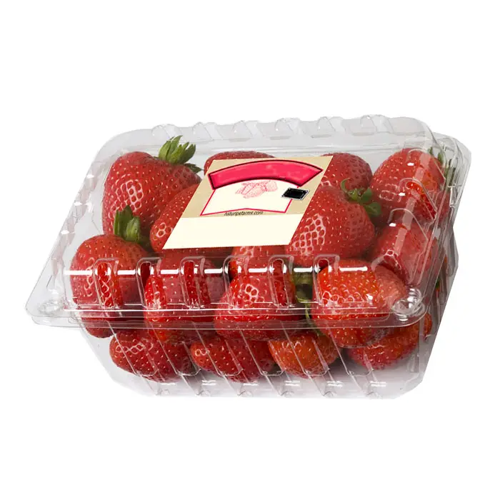 Grosir Supermarket Ramah Lingkungan Buah Kotak Makanan Kemasan untuk Kemasan Strawberry
