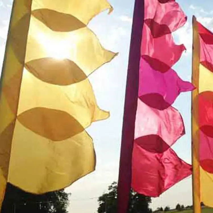 Grand drapeau en plumes pour l'extérieur, 5.6m, impression numérique volante, coloré, festival de bali