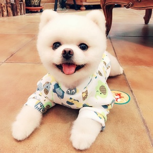 ペットアクセサリー犬服落書きスタイル猫パーカープリント快適ラウンドネック2脚 - Product Image 4