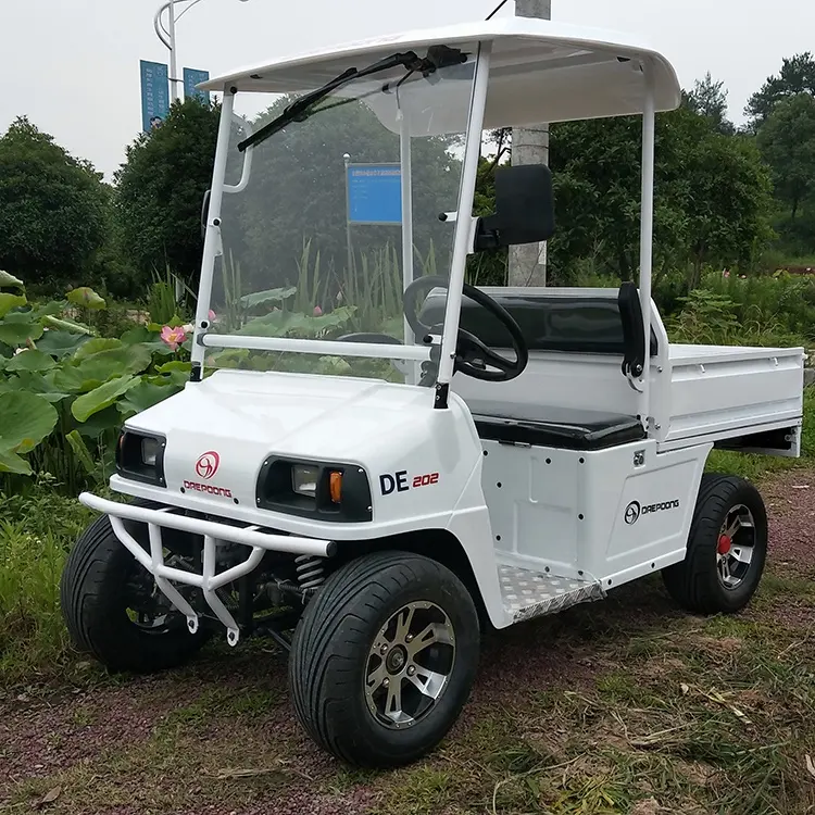 Oem-carrito de golf eléctrico con caja de carga, vehículo utilitario, chino, 2 asientos
