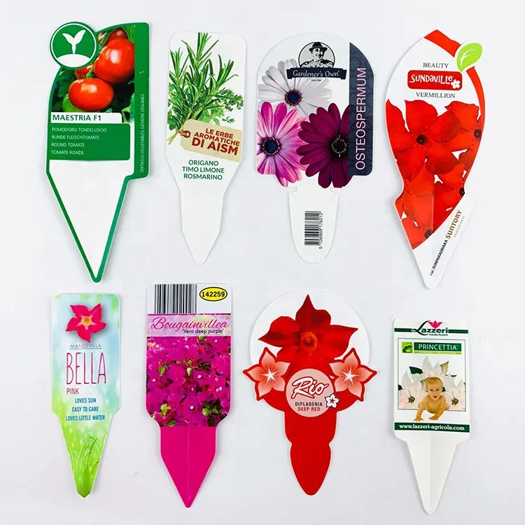 Plantes de jardin légumes Etiquette PVC écologique pour plantes/étiquettes de fleurs pour pépinière