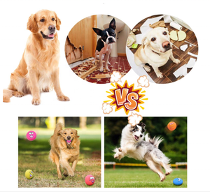 Son doğal yumuşak kauçuk lateks chewy dayanıklı <span class=keywords><strong>zanies</strong></span> gülen top gıcırtılı evcil köpek oyuncak - Product Image 4